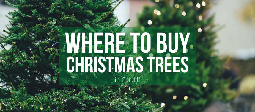 Where to Buy Christmas Trees in Cardiff
