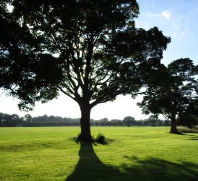 Llandaff Fields