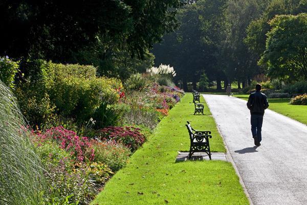 Bute Park