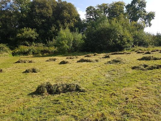 Forest Farm Country Park