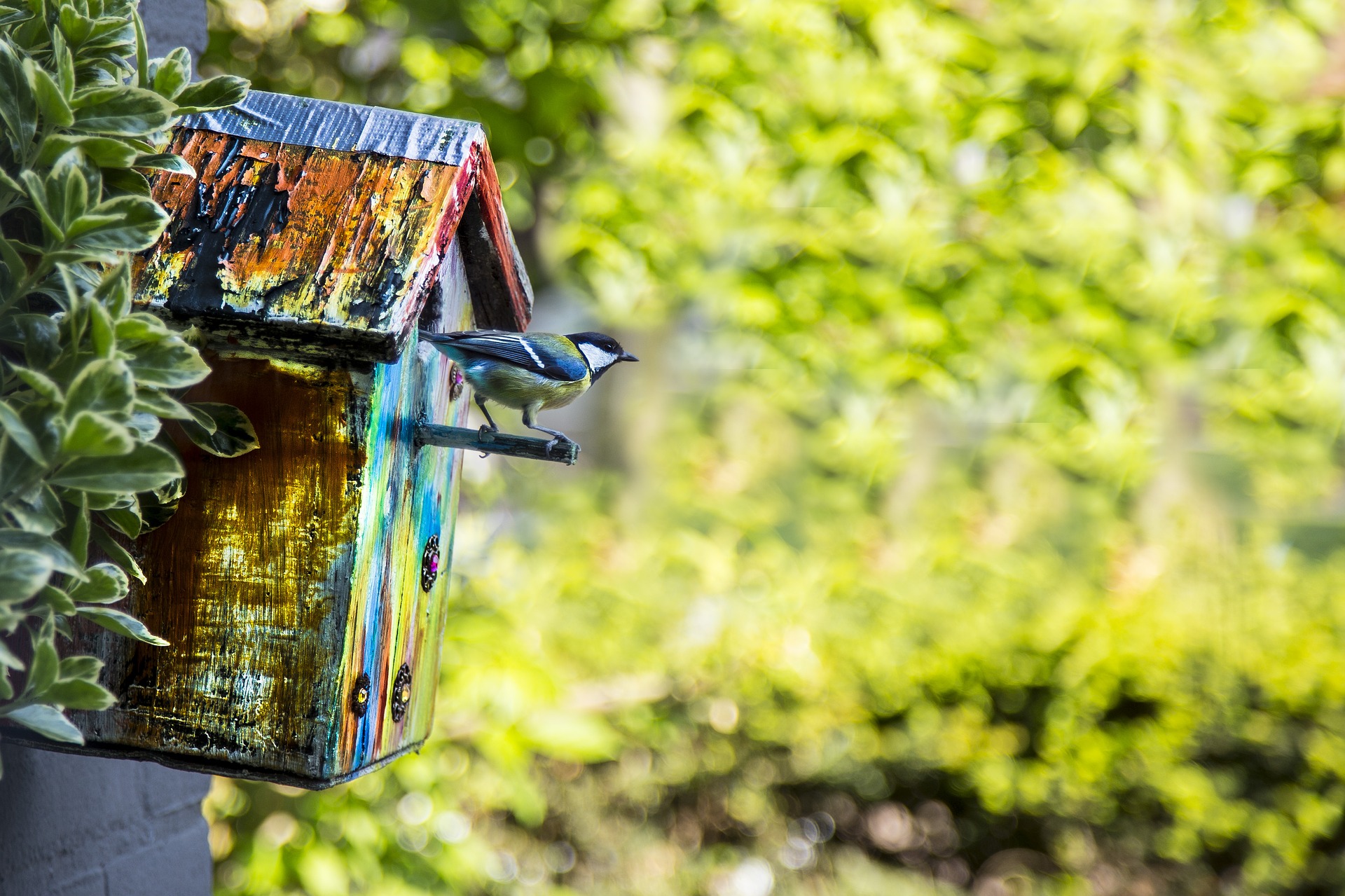 Make a Milk Carton Birdhouse