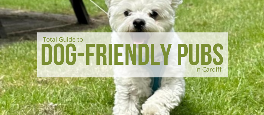 Dog Friendly Pubs in Cardiff