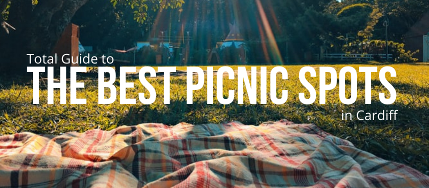 Best Picnic Spots in Cardiff
